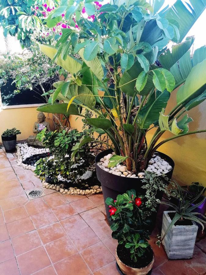 Vivienda Vacacional Vaiana Las Rosas  ภายนอก รูปภาพ